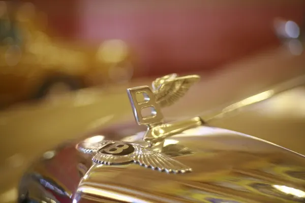 Winzinator Casino App Android/iOS